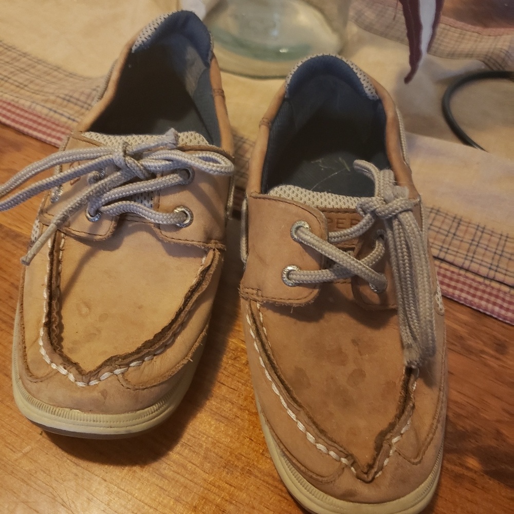 Sperrys boys